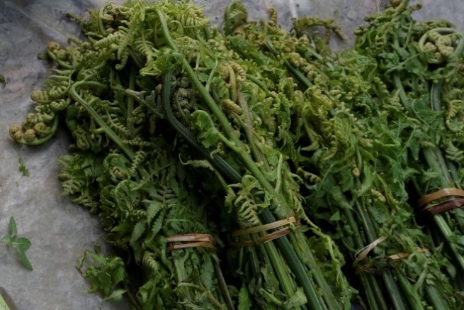 Dheki shaag ( bandel )