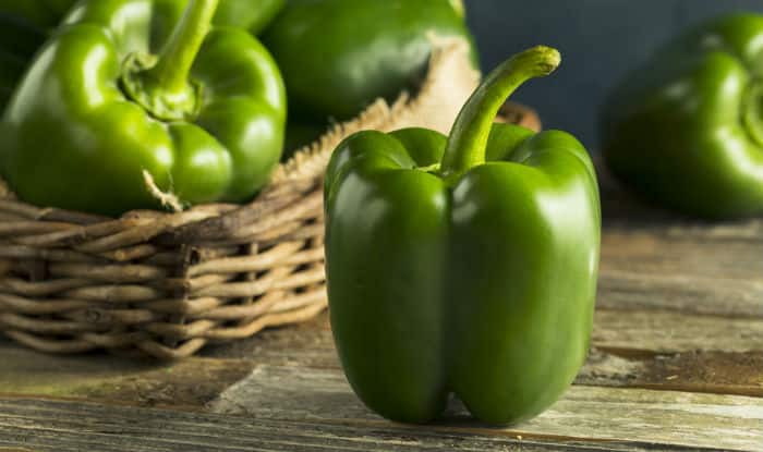 Capsicum (round )